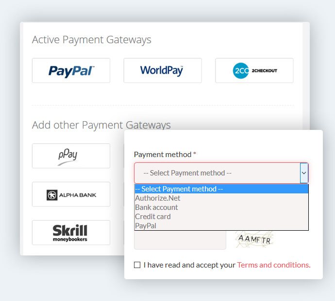 Real-time online payments