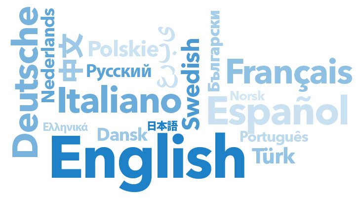 Website translation services