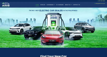 Anis Electric Cars