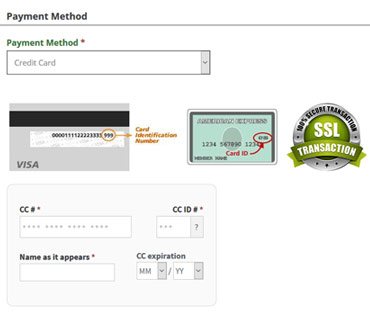 VEVS Car Rental Client - Payments