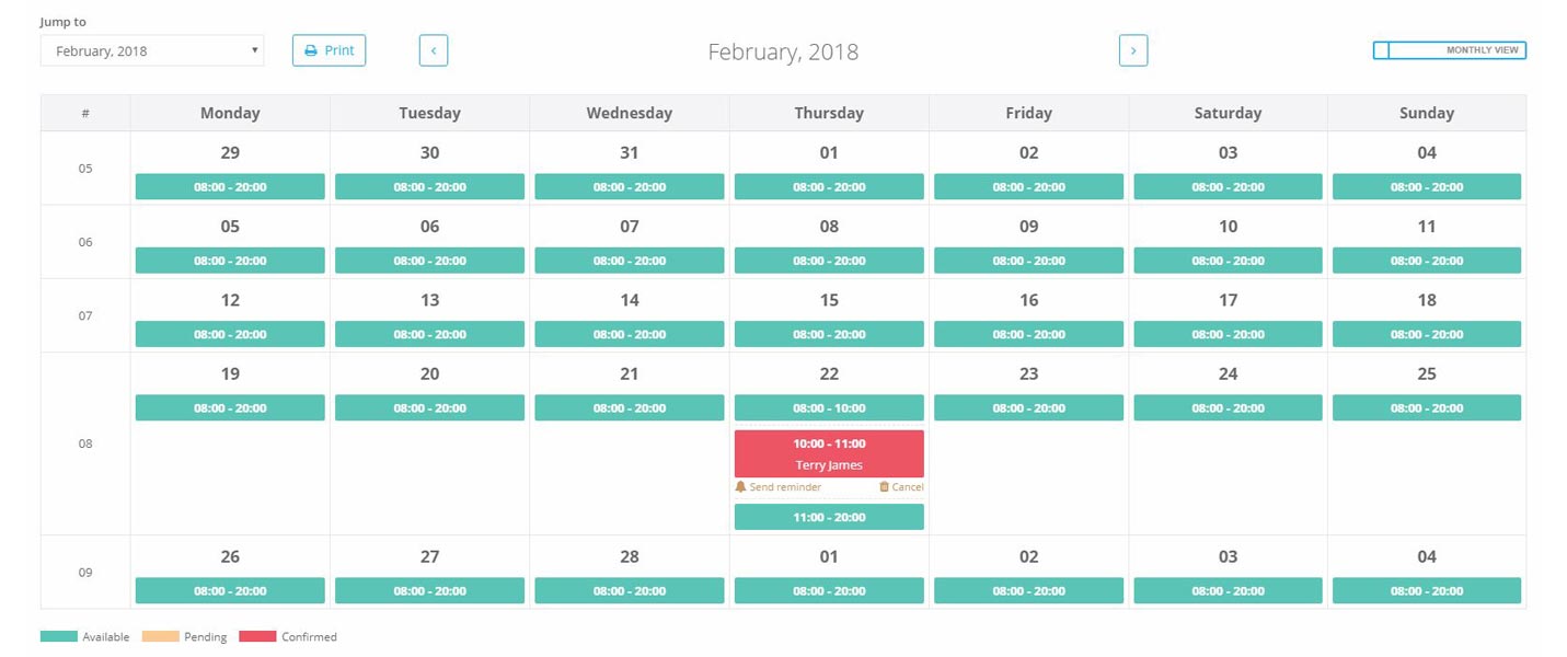 VEVS Individual Professionals Websites - Schedule