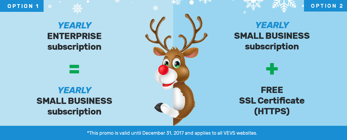 Special Christmas plans on VEVS